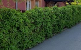 Apartament U Janiny